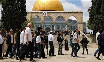 عشرات المستوطنين الإسرائيليين يقتحمون المسجد الأقصى بالقدس الشرقية المحتلة