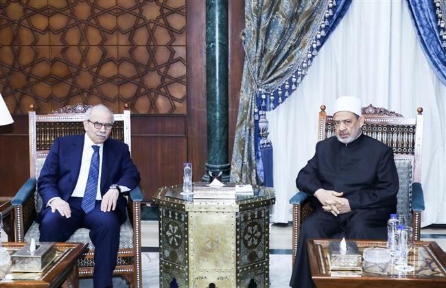 خلال لقاءاته بالقاهرة.. نواف سلام يدعو شيخ الأزهر إلى لبنان والإمام الأكبر يرحب