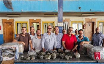 جمارك الصادرات الجوية تحبط محاولة تهريب كمية من الأحجار شبه الكريمة «النادرة»