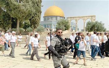 أبوردينة: الاعترافات المتتالية بالدولة الفلسطينية تعكس الإرادة الدولية الحقيقية لوقف الحرب