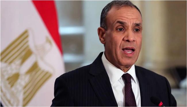 وزير الخارجية: خدمات متكاملة للمصريين بالخارج وتحركات دولية لوقف كارثة غزة