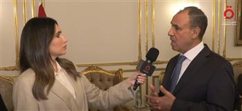 وزير الخارجية: الدولة تضع مصالح المصريين بالخارج على رأس أولوياتها