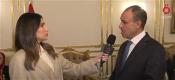 وزير الخارجية: الرئيس السيسي يقود سياسة نشطة.. ومصر تواصل جهودها لدعم فلسطين