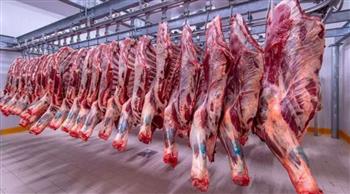 شعبة القصابين: انخفاض أسعار اللحوم 20%.. وندعم صغار المربين