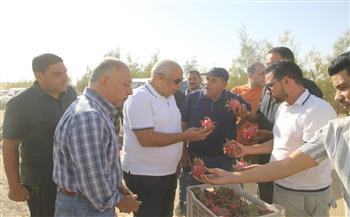 محافظ الوادي الجديد يوجه بالتوسع فى زراعة فاكهة "الدراجون فروت" بعد نجاحها بالفرافرة