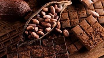 أسعار الشوكولاتة «فى الطالع»