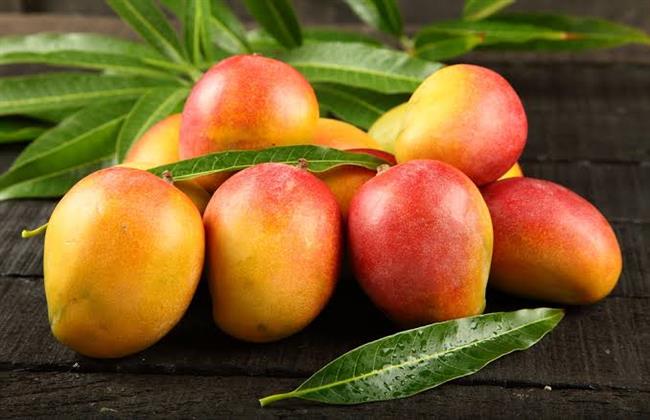 أسعار الفاكهة اليوم الأحد 31-8-2025 في سوق العبور.. الخوخ بـ20 جنيهًا