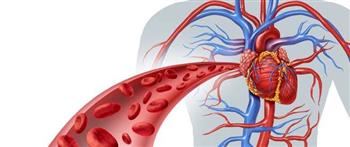 5  علامات تدل على ضعف الدورة الدموية