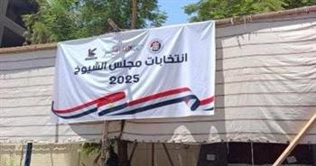 استحقاق جديد على طريق استكمال مؤسسات الدولة.. انطلاق انتخابات مجلس الشيوخ 2025 داخل مصر