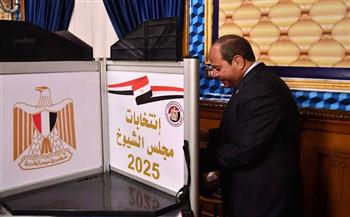يتقدمهم الرئيس.. مشاركة واسعة من مسؤولي الدولة في انتخابات مجلس الشيوخ 2025