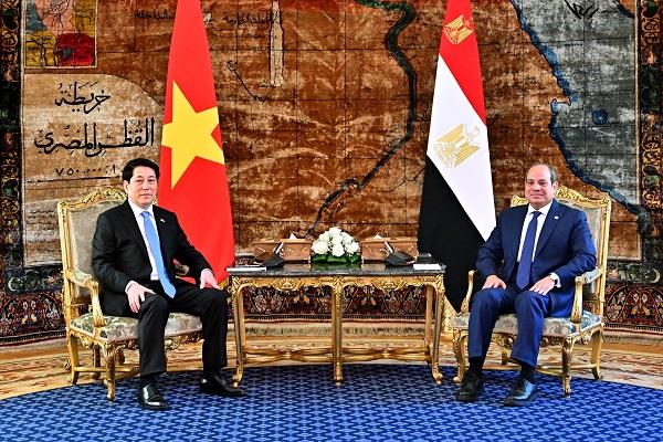 الرئيس السيسي: الاتفاق على ترفيع العلاقات بين مصر وفيتنام إلى الشراكة الشاملة