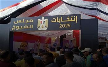 في اليوم الأخير للاقتراع.. موعد إعلان نتائج انتخابات مجلس الشيوخ 2025