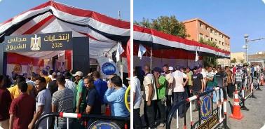 إقبال كثيف على لجان انتخابات الشيوخ في الإسكندرية وسط إجراءات أمنية وتنظيمية مشددة