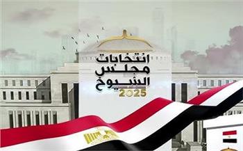 منظمات المجتمع المدني حاضرة بقوة في انتخابات مجلس الشيوخ.. تفاصيل