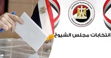 رؤساء لجان بانتخابات الشيوخ: إقبال ملحوظ والتزام كامل بقرارات "الوطنية للانتخابات"