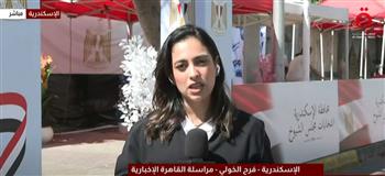 الإسكندرية.. مشاركة إيجابية في اليوم الثاني لانتخابات الشيوخ وسط إشادة دولية
