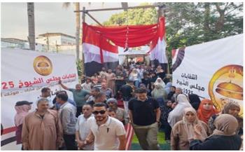 محافظ الدقهلية: إقبال على لجان انتخابات مجلس الشيوخ 2025 والشعب يؤكد الدعم الكامل للقيادة السياسية