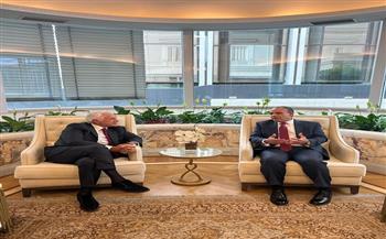 وزير الخارجية يلتقى مالك الشركات المعنية بتنفيذ مشروع الربط الكهربائي بين مصر واليونان 