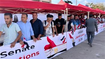 «كبار السن» يزاحمون النساء والشباب فى الطوابير..  انتخابات الشيوخ..  تصويت «الأمان والاستقرار»