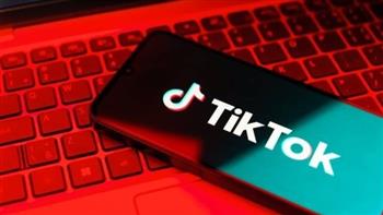  ضبط صانع محتوى غسل 65 مليون جنيه حصيله فيديوهات مسيئه