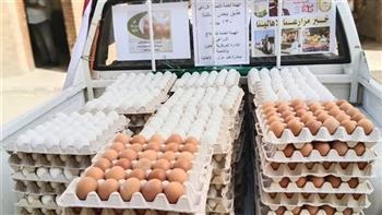 "الزراعة" تطلق 6 منافذ متنقلة لبيع بيض المائدة بأسعار مخفضة بالقاهرة والجيزة