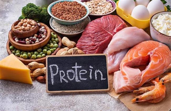 لماذا يعتبر البروتين أساسى في رحلة الريجيم؟