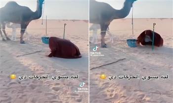 لسبب لا يمكن توقعه.. بدوي يمثّل دور "كلب" أمام ناقة في الصحراء (فيديو)