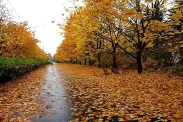 بدء فصل الخريف الأحد المقبل.. 3 أشهر من التقلبات الجوية