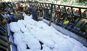 43 شهيدًا بنيران جيش الاحتلال بينهم 31 بمدينة غزة