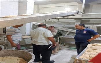 محافظ الدقهلية: ضبط 3645 كيلو لحوم ودواجن وأغذية متنوعة والتحفظ عليها بطلخا