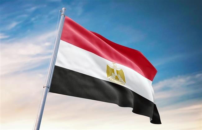 مصر تطالب الدول المؤيدة لقرار حل الدولتين بتضافر الجهود للعمل على تنفيذ مخرجات المؤتمر
