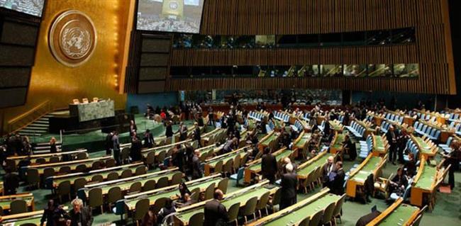 مصر: تصويت 142 دولة على قرار «حل الدولتين» دليل دامغ على التأييد الدولي للحقوق الفلسطينية