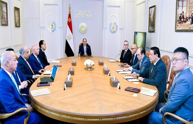 الرئيس السيسي يؤكد ضرورة تعظيم فرص التعاون مع شركة "سكاتك" ومجموعة "صنجرو"