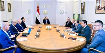 الرئيس السيسى يؤكد أهمية التعاون مع "سكاتك" و"صنجرو" لتعزيز الاستثمارات الأجنبية