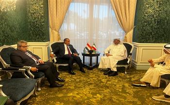 وزير الخارجية ونظيره الكويتي يؤكدان رفضهما لأي اعتداء على سيادة الدول العربية