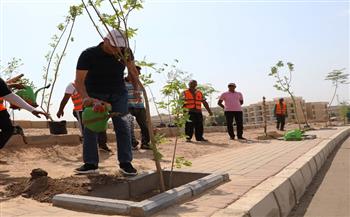 محافظ أسوان يطلق فعاليات حملة التشجير بطريق السادات