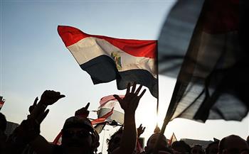 جهود مصرية لا تتوقف لحماية الأمن القومي العربي والدفاع عن الحقوق الفلسطينية