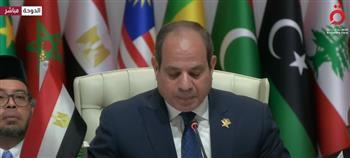 الرئيس السيسي: الانفلات الإسرائيلي يتطلب إرساء أسس ومبادئ تعبر عن رؤيتنا المشتركة