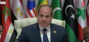 الرئيس السيسي: أجدد الدعوة لجميع الدول للاعتراف الفوري بدولة فلسطين 