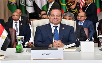 الرئيس السيسي: سنقف جميعًا صفًا واحدًا دفاعًا عن الحقوق العربية والإسلامية 