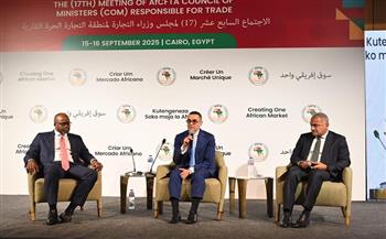 وزير الاستثمار: القطاع الخاص شريك استراتيجي في تفعيل اتفاقية التجارة الحرة القارية
