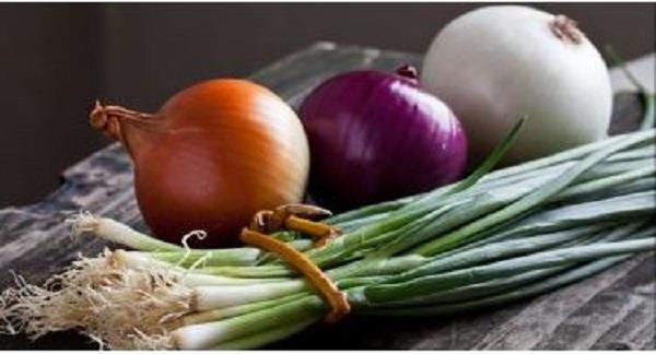 البصل الأخضر أم العادي.. أيهما أكثر فائدة لصحتك العامة؟