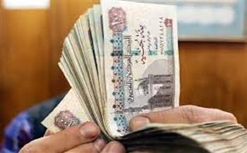 طرق الاستعلام عن المعاش إلكترونيًا.. تسهيلات جديدة للمواطنين