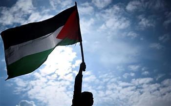اعترافات دولية بفلسطين.. سياسيون يوضحون أهمية ضغط المجتمع الدولى لتبني حل الدولتين