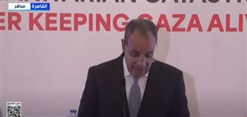 وزير الخارجية يؤكد استمرار مصر في التعاون مع الشركاء لوقف الحرب على غزة