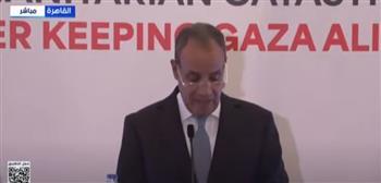 وزير الخارجية: سنعمل على إبقاء غزة حيّة.. شاء من شاء وأبى من أبى