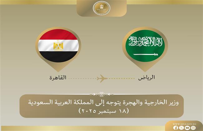 وزير الخارجية يتوجه إلى السعودية لإجراء عدد من المقابلات مع كبار المسؤولين.. اليوم
