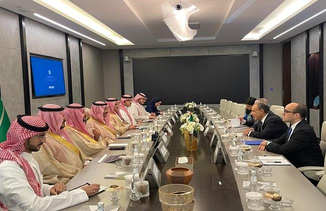 وزير الخارجية يبحث مع نظيره السعودي تعزيز التعاون الصناعي والاستثماري بين البلدين