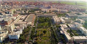 جامعة المنصورة تتصدر الجامعات المصرية في التعاون والدولي وفق مؤشر الابتكار العالمي 2025