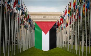 الاعتراف بالدولة الفلسطينية بدأ من القاهرة وانتهى بالأمم المتحدة